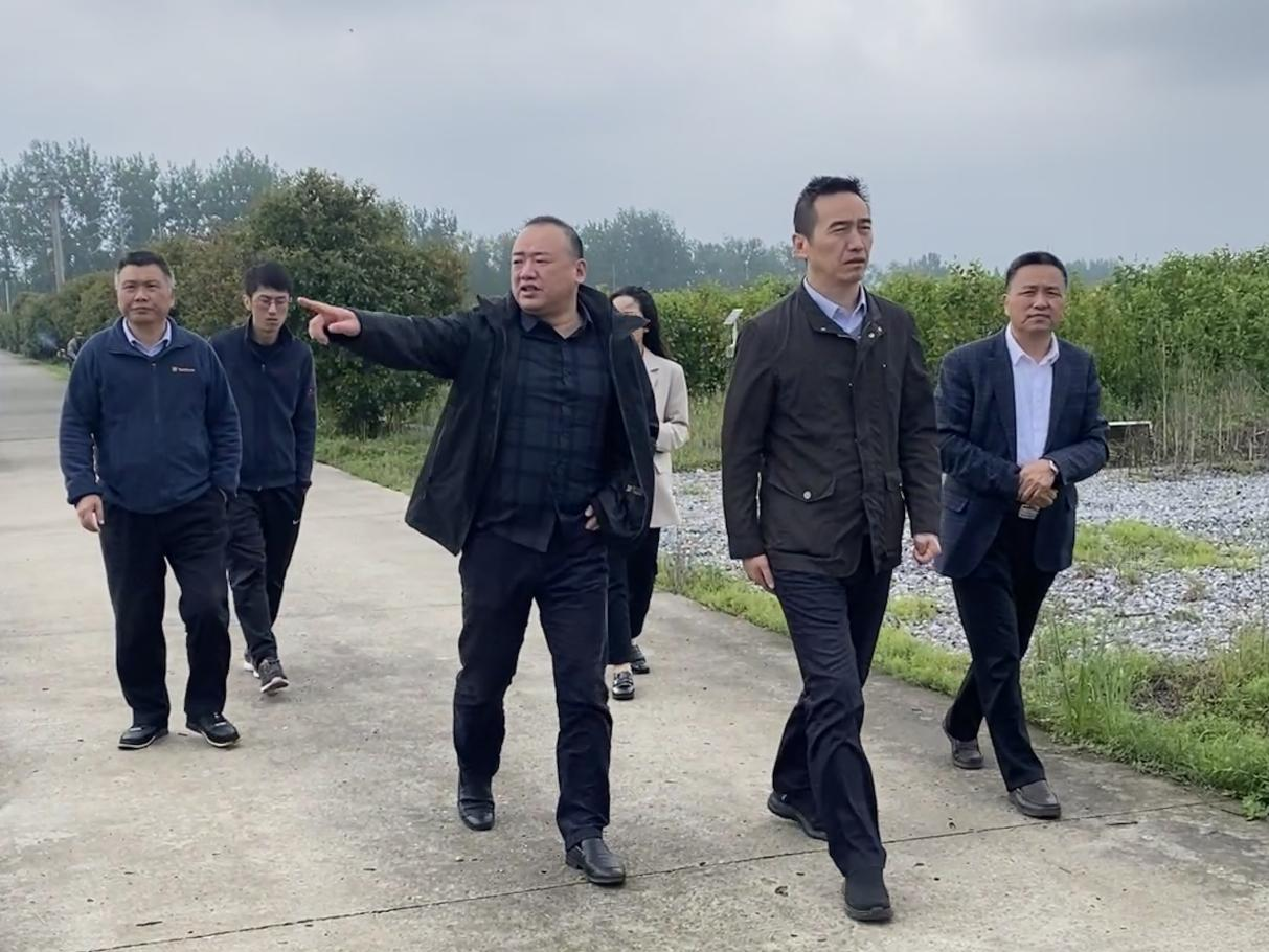 武汉农业集团领导赴壹号平台注册链接_壹号平台下载安装林业科技产业示范园开展“五一”节前安全生产检查