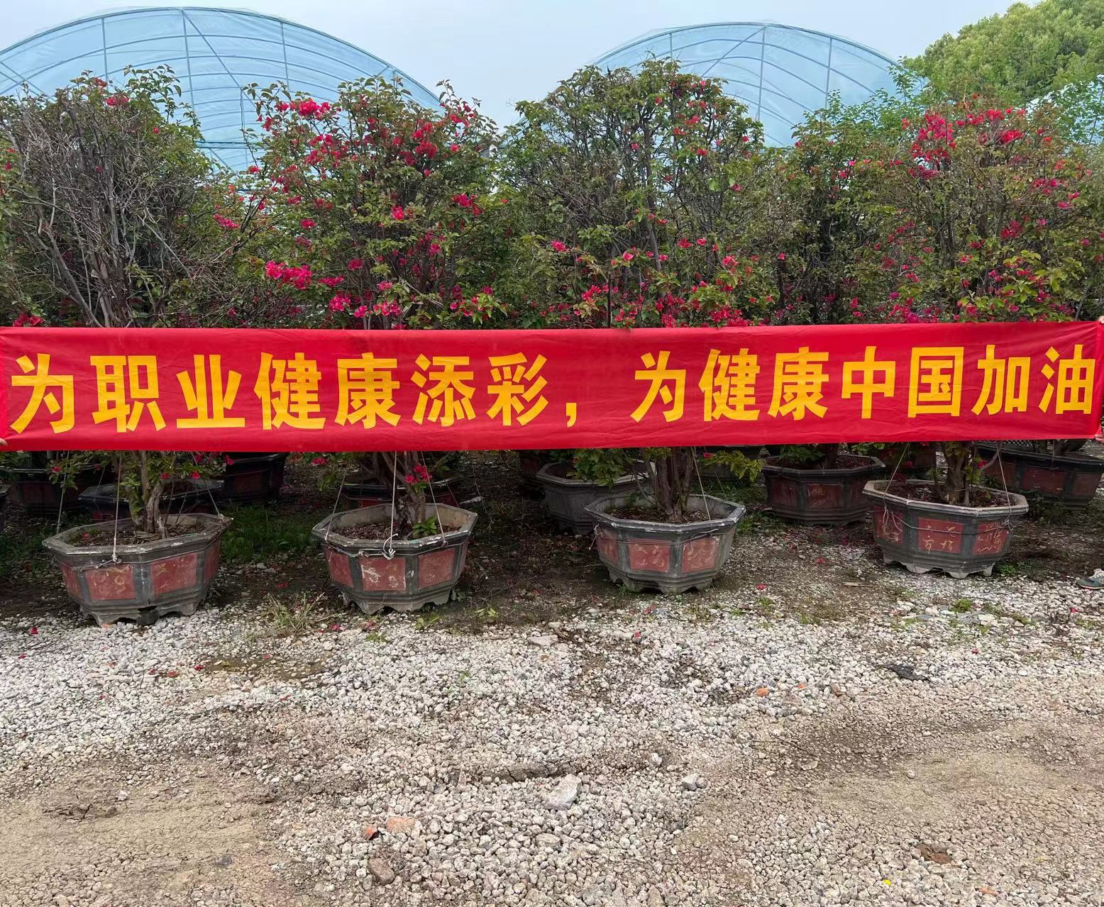 壹号平台注册链接_壹号平台下载安装工会组织开展2023年职业病防治法宣传周活动